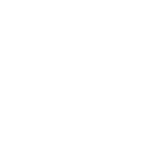 Assistant Logo